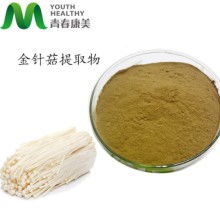 金针菇菌种怎么种植，金针菇菌种培育