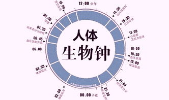 时差颠倒太久.用什么方法能够彻底调整过来?