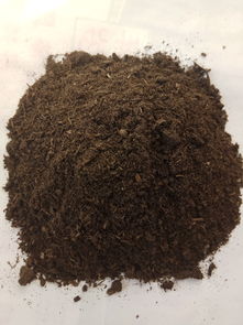 牛羊粪怎样发酵成有机肥
