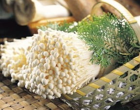 与金针菇相克的食物