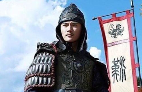 汉朝卫青简介?