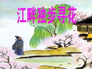 江畔独步寻花古诗意思及注释