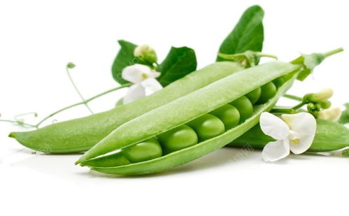 豌豆热量高为什么减肥还能吃，蒜香豌豆热量