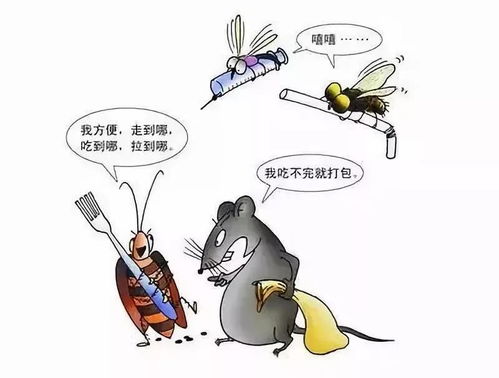 除四害讲卫生四害指的是，四害指的是什么动物