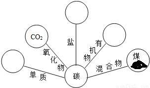 碳的化学方程式