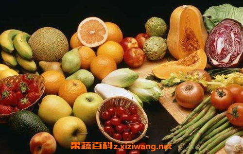 低脂低糖高纤维素食物有哪些，高纤维素食物有哪些早餐