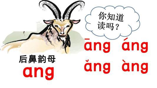 前鼻韵母有哪些怎么读，后鼻韵母有哪些怎么读