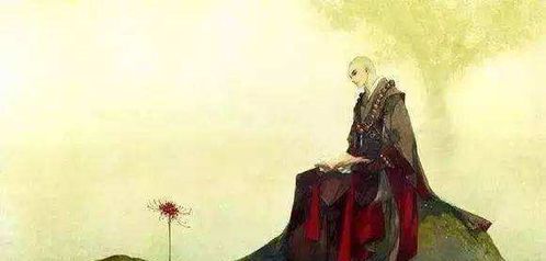 不负如来不负卿上一句是什么意思，不负如来不负卿上一句接什么