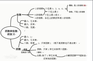 2513的因数有哪些，13的因数有哪些数学