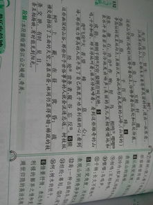 古文《与朱元思书》原文及翻译