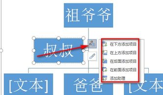 家谱怎么做小学生，家谱怎么做视频