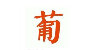 葡组词有哪些词语