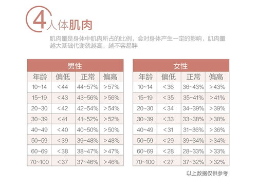 肌肉率偏高是怎么回事，肌肉率上涨好不好