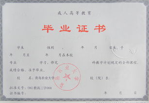 专科和本科有区别吗考研，本科跟专科的区别