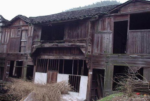 梦见住回以前的房子