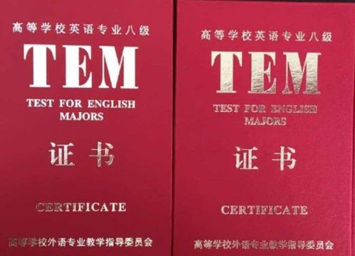 我都大学毕业了还能考专八吗?