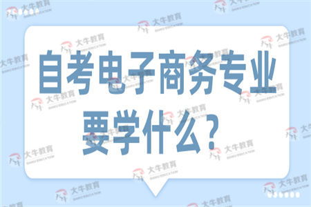 电子商务主要学习什么课程?