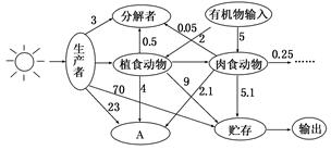 物质循环的特点是什么