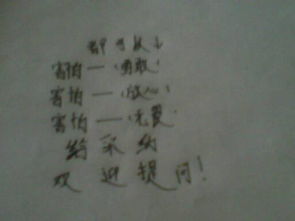 害怕近义词，害怕的反义义词是什么