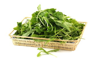 野菜有哪些