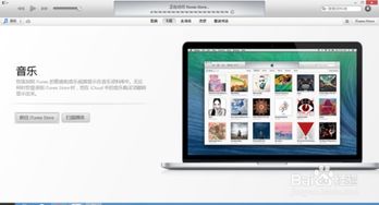 手机白苹果了怎么办，黑解手机白苹果了怎么办