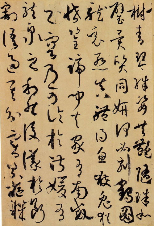 草书特点