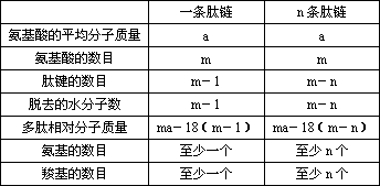 常见的氨基酸分类方法有哪些