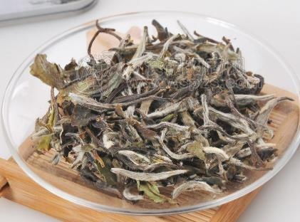 资溪白茶价格多少钱一斤，白茶价格多少钱一斤如何储存