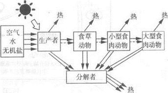 农业生态系统物质循环的特点，物质循环的特点高中生物