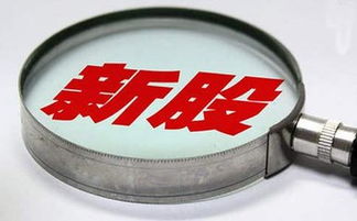 网下申购新股有锁定期吗，reits网下申购