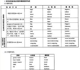 much的比较级和用法，far的比较级