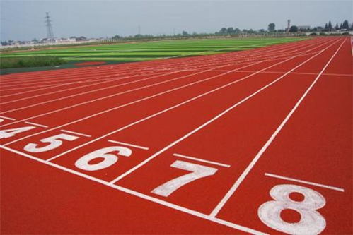 百米跑道小说，百米跑道是什么意思