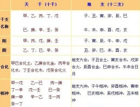 地支是什么意思