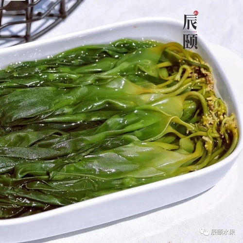海带苗和裙带菜的区别