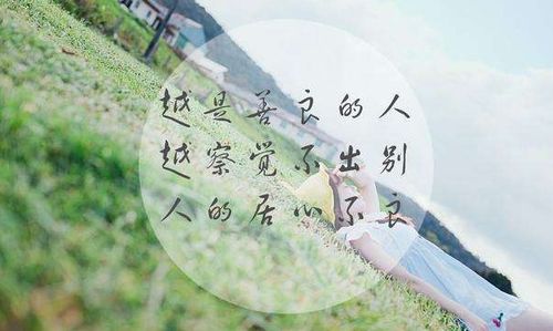夸人有才华的句子