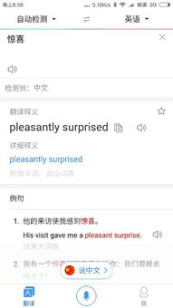 惊喜的英文怎么写和说