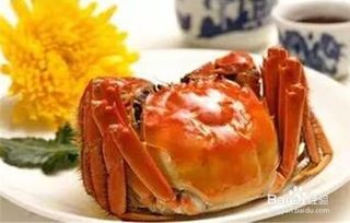 螃蟹怎么清洗