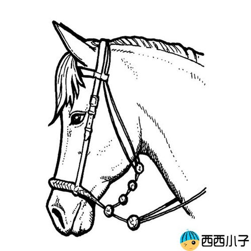 “马”怎么画简笔画?