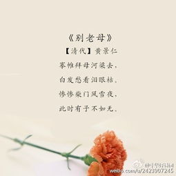 古代的优秀诗句关于母亲