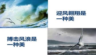 海燕原文拼音版，九下课文海燕原文