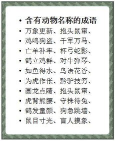 和动物有关的词语