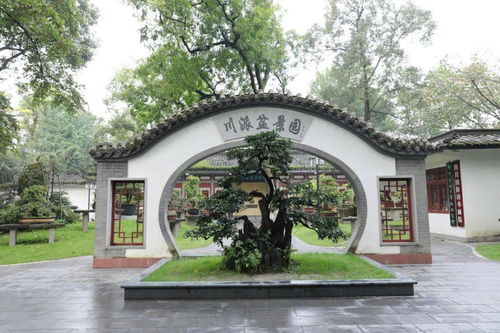 万里桥西一草堂猜动物，万里桥西一草堂百花潭水即沧浪全诗