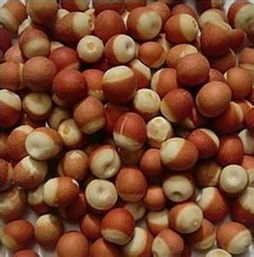 芡实的作用与功效及食用方法，芡实的作用与功效图片