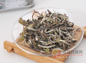 白茶哪里的最好?一般在多少钱?
