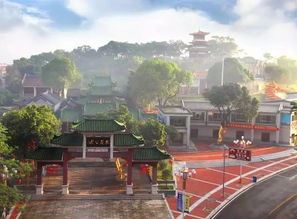 东莞市茶山属于哪个区