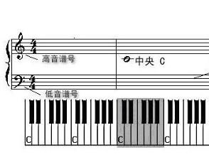 乐理是学啥的