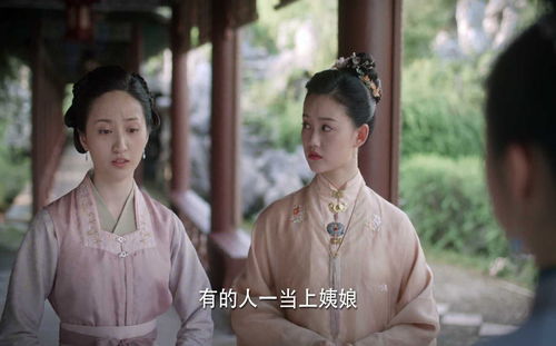 城南旧事 兰姨娘是什么样的人