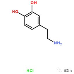 多巴胺什么意思呀??
