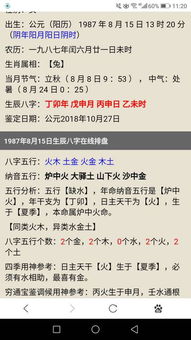 五行属金的行业有哪些适合女孩，炉中火做五行属金的行业