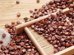 酸枣仁泡水喝的五大功效